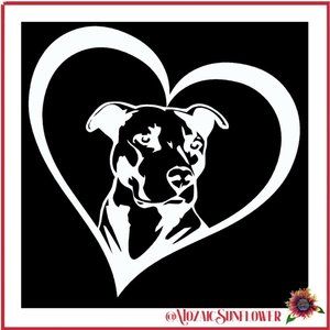 6 x 6 American Staffordshire/American Pitbull Terrier Heart Vinyl Decal